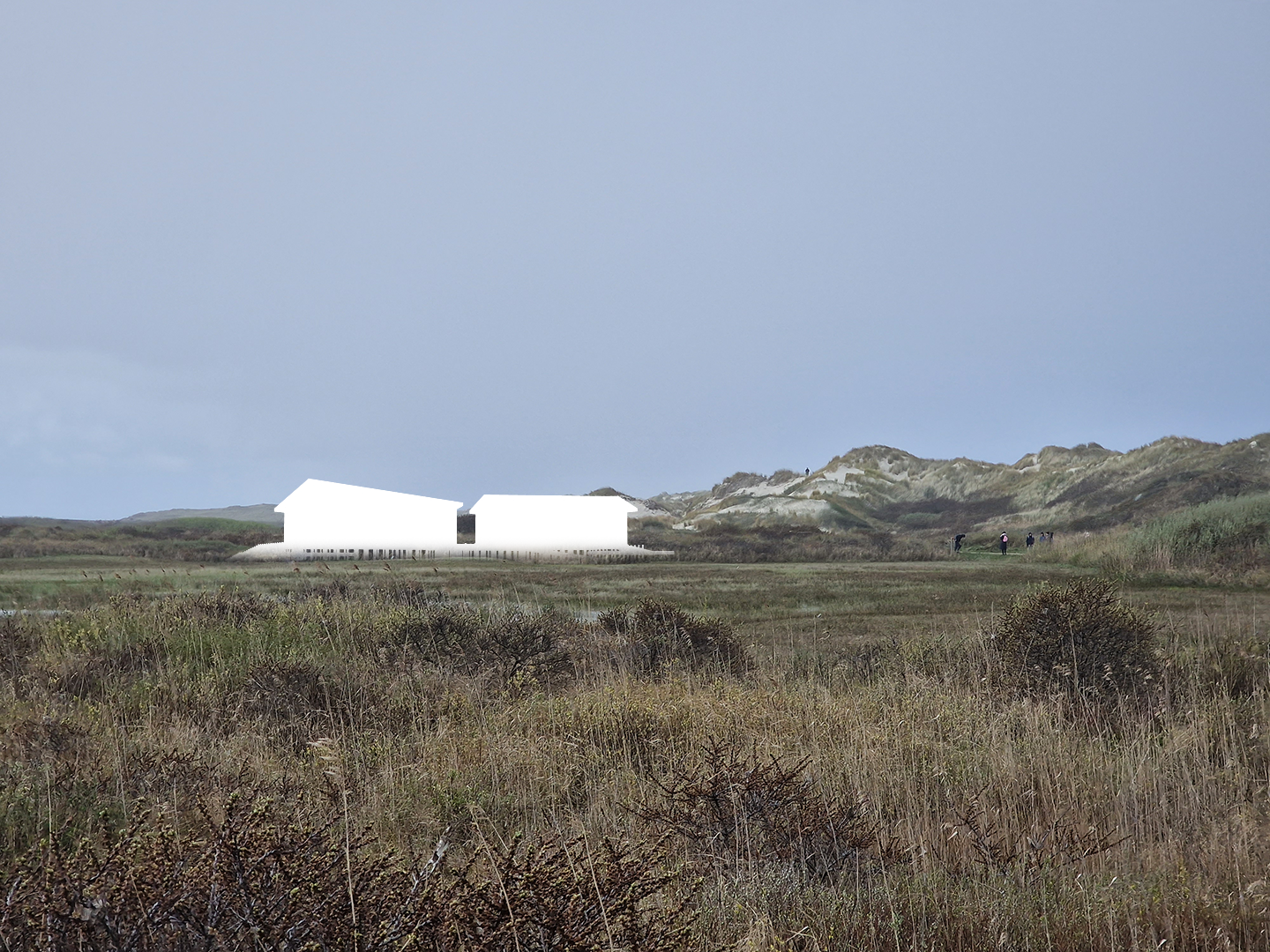 Figuur van het Delta Shelter gebouw in het landschap te zien vanuit het oosten