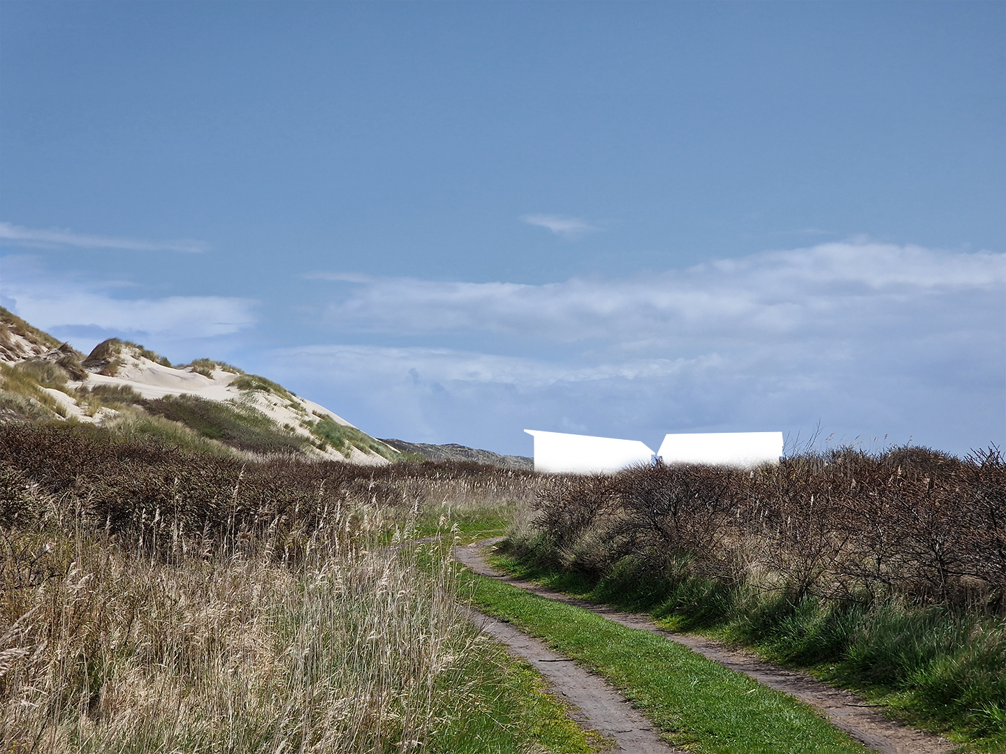 Figuur van het Delta Shelter gebouw in het landschap te zien vanuit het westen